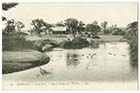 Dane Park/Lake and Bridge 1909 [LL series PC]